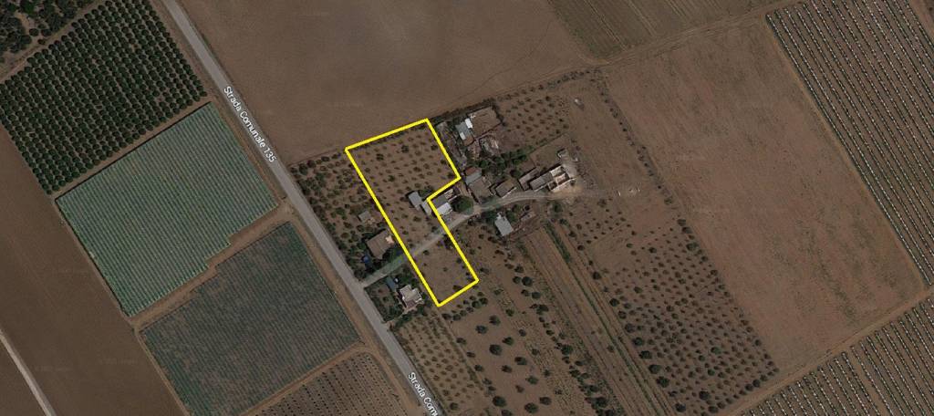 immagine annuncio 2 di 7