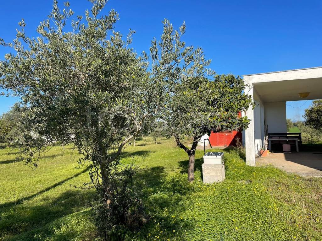 immagine annuncio 4 di 7