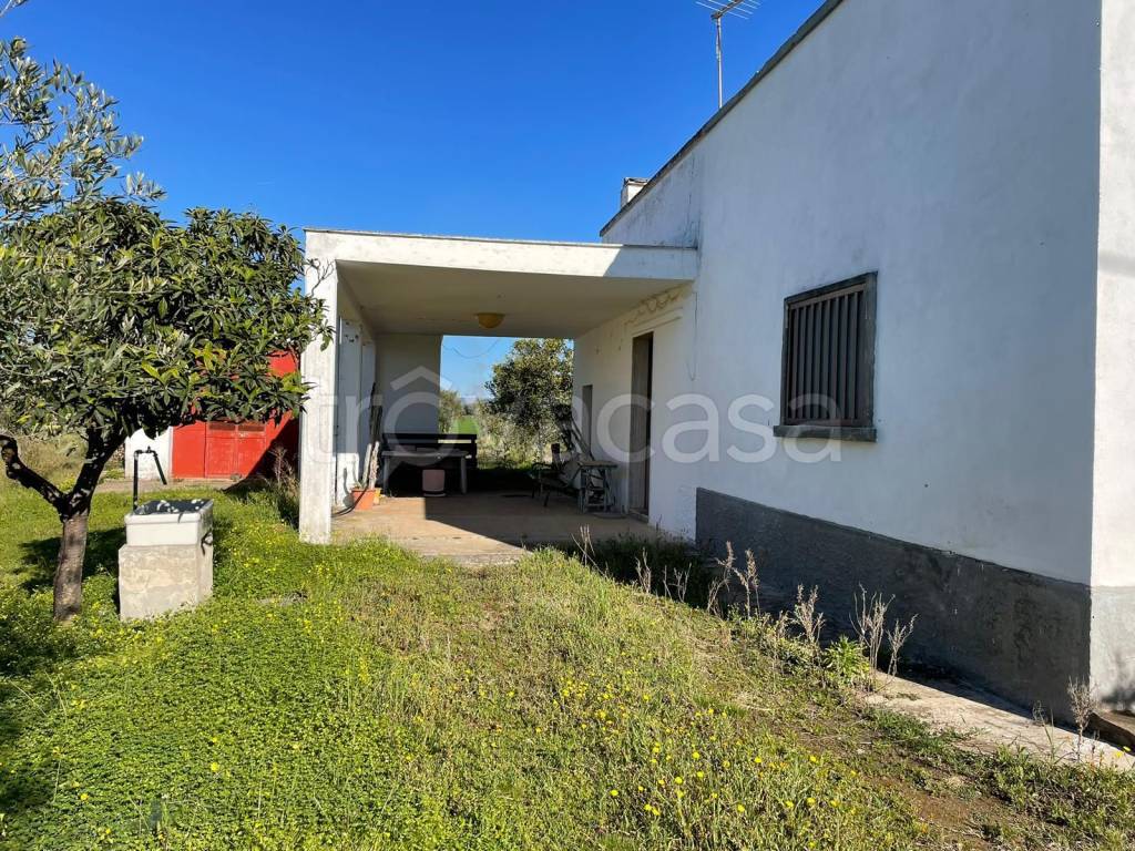 immagine annuncio 6 di 7