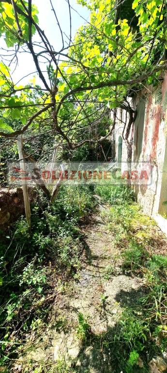 immagine annuncio 5 di 6