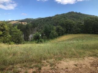 Terreno agricolo in vendita a rotella valdaso