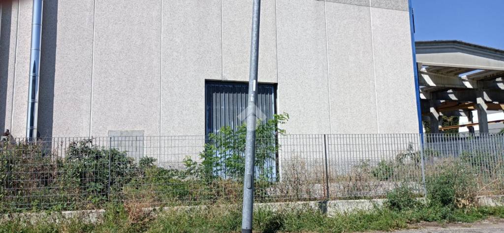 immagine annuncio 9 di 13