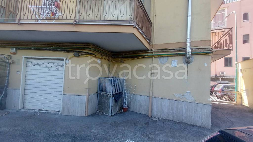 immagine annuncio 2 di 14