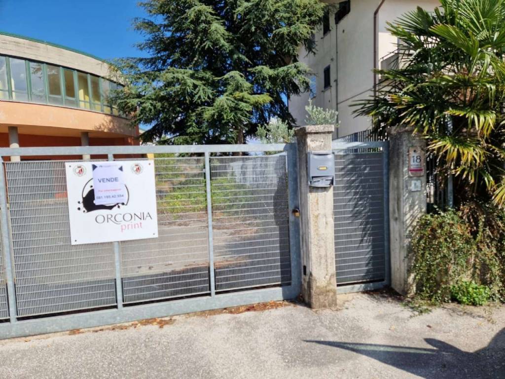 immagine annuncio 6 di 11