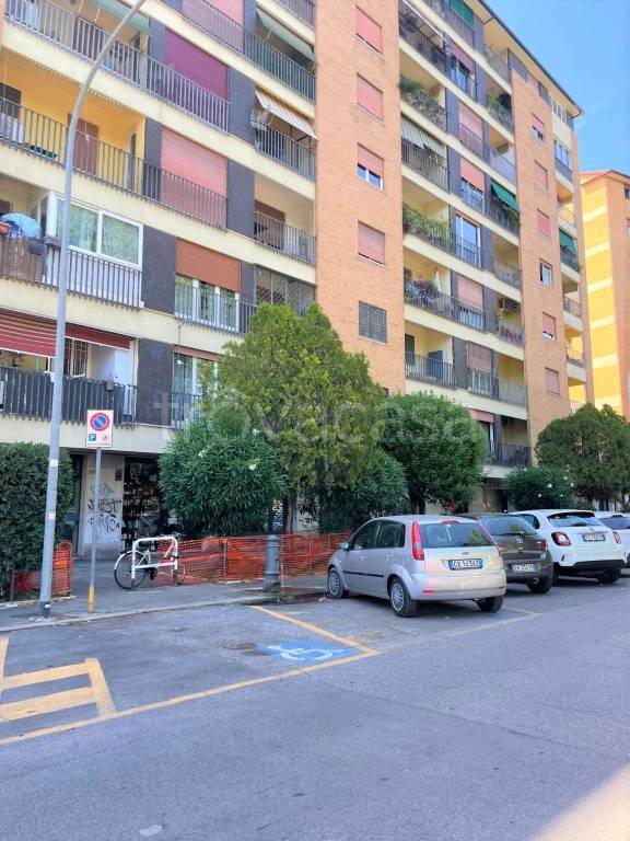 immagine annuncio 6 di 8