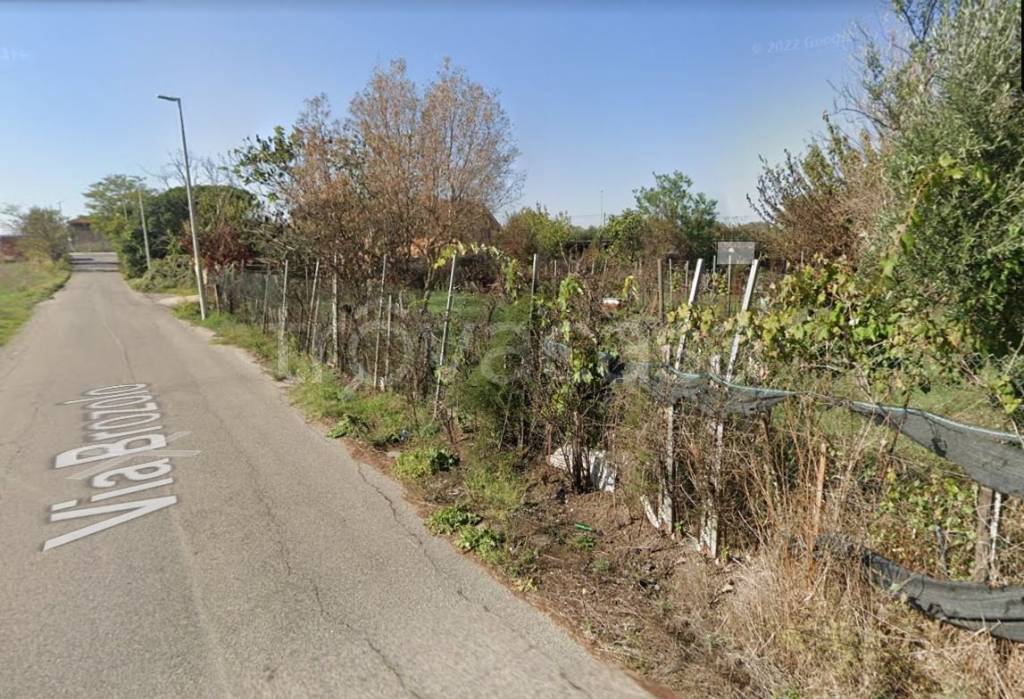 immagine annuncio 3 di 9