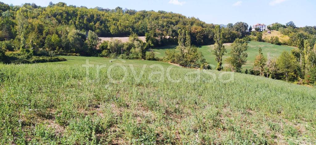 Terreno Agricolo in vendita a Bagno di Romagna via Manara Valgimigli