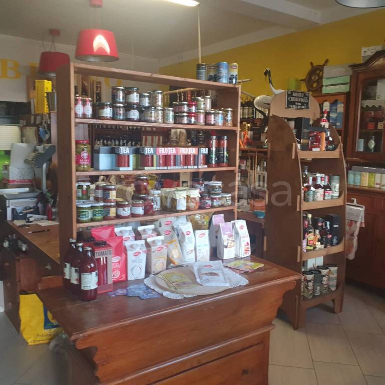immagine annuncio 2 di 7