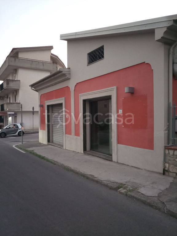 Negozio Alimentare in in vendita da privato a Scalea via Nazario Sauro, 31