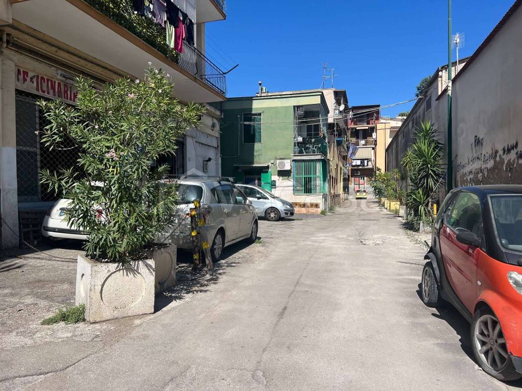 immagine annuncio 10 di 13