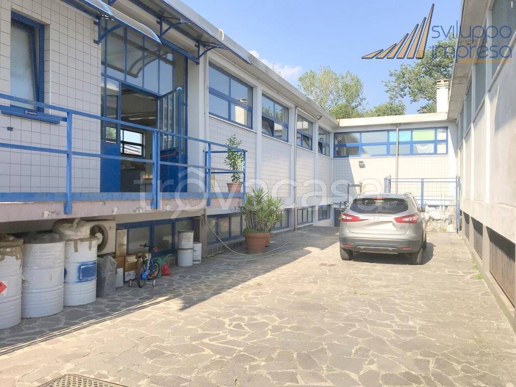 immagine annuncio 5 di 15