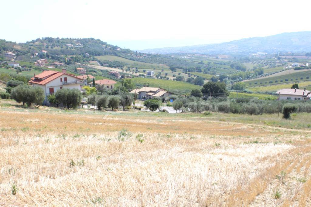 immagine annuncio 7 di 14