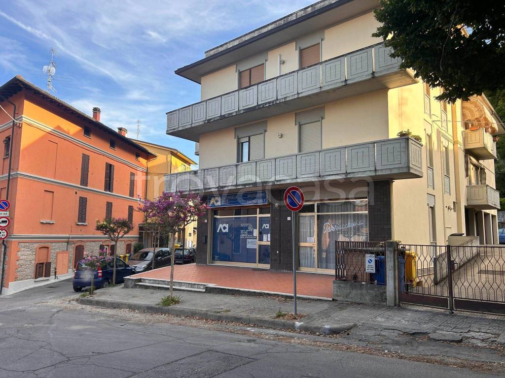 Appartamento in in vendita da privato a Castrocaro Terme e Terra del Sole via Sorgenti, 33