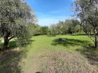 Terreno agricolo in vendita a lastra a signa via delle selve