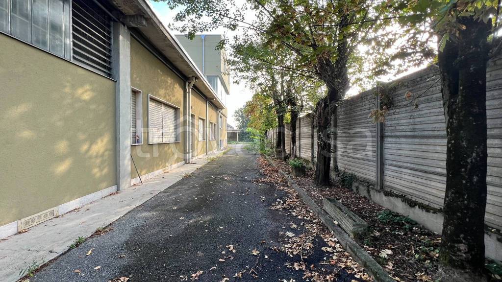 immagine annuncio 5 di 12