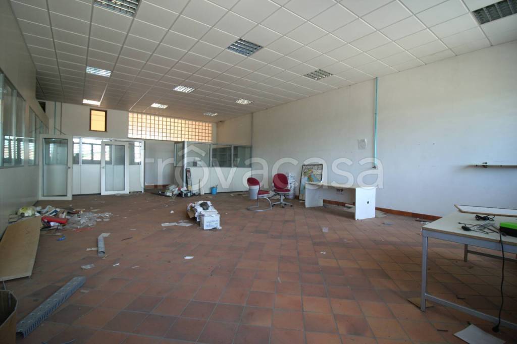 immagine annuncio 10 di 14