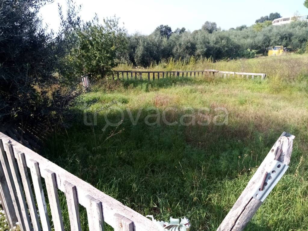 immagine annuncio 6 di 12