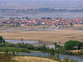 Terreno agricolo in vendita a fontanetto po strada provinciale palazzolo-fontaneto po