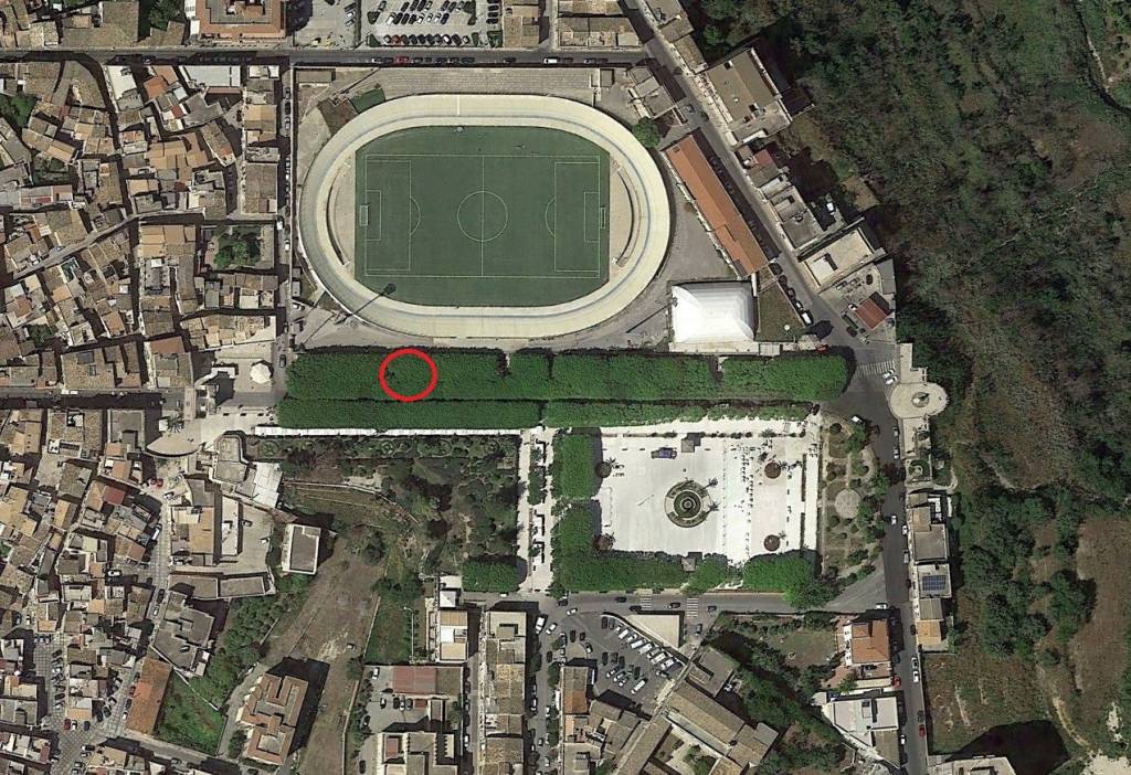 immagine annuncio 1 di 10