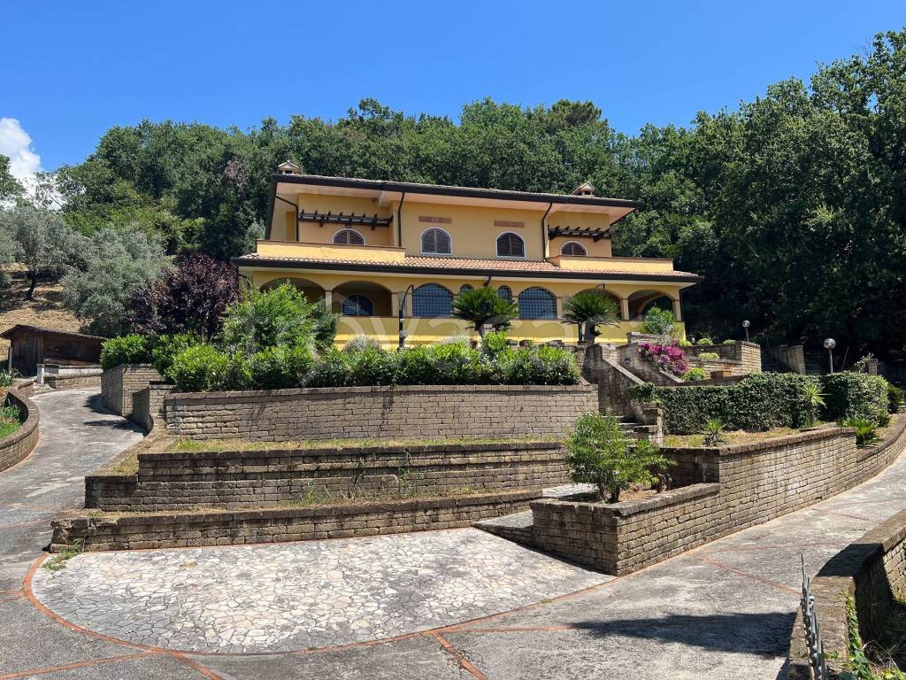 immagine annuncio 14 di 15