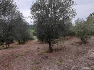 Terreno residenziale in vendita a manziana via braccianese terme stigliano, 00