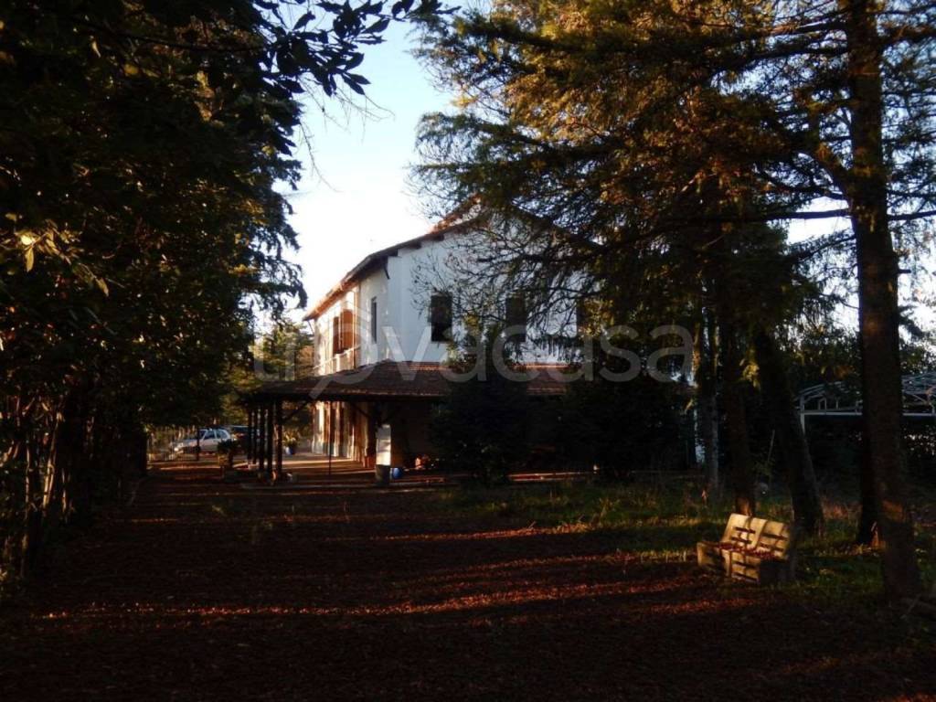 immagine annuncio 10 di 15