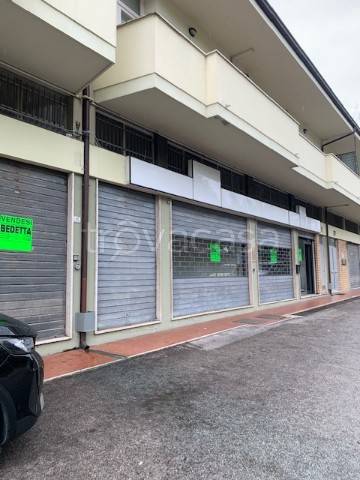 Negozio in vendita a Porto San Giorgio strada Provinciale Fermana Faleriense