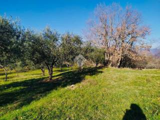 Terreno agricolo in vendita a bassano romano strada comunale oriolese