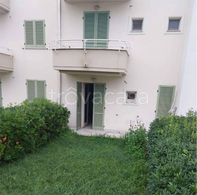 immagine annuncio 3 di 6