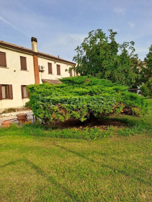 Casa Indipendente in vendita ad Adria cavanella po località smergoncino, 0