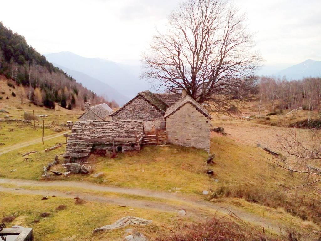 immagine annuncio 2 di 12