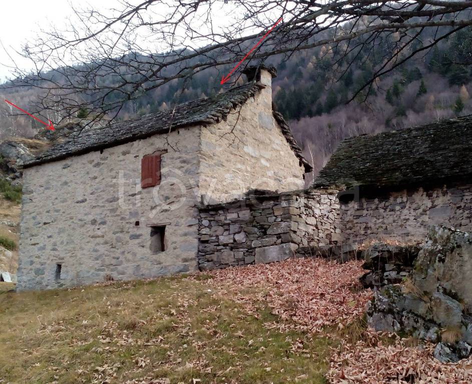 immagine annuncio 3 di 12