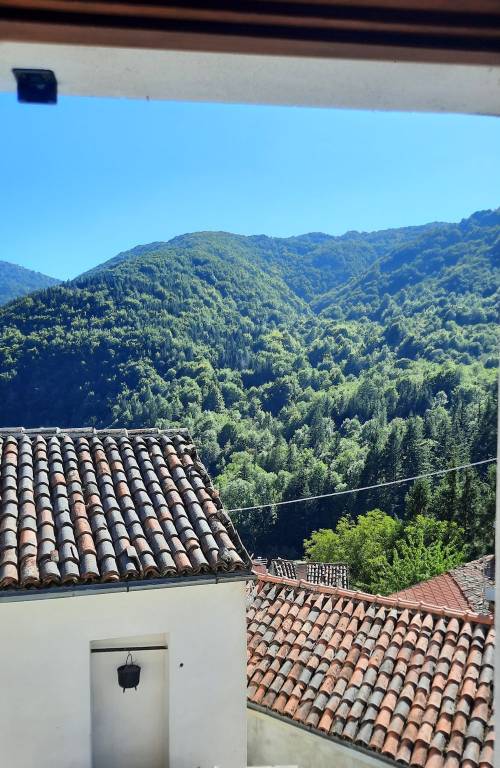 Villa in in vendita da privato a Fabbrica Curone regione Bruggi, 25