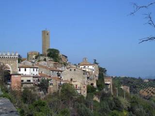 Appartamento in in vendita da privato a magliano in toscana via giuseppe garibaldi