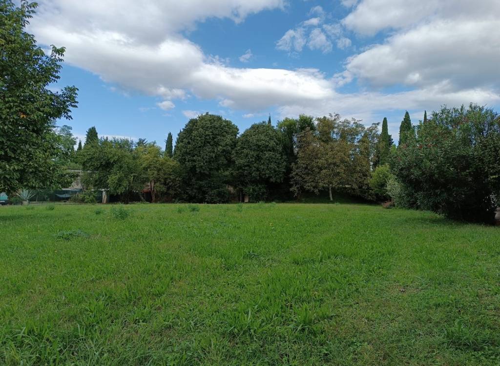 immagine annuncio 2 di 6