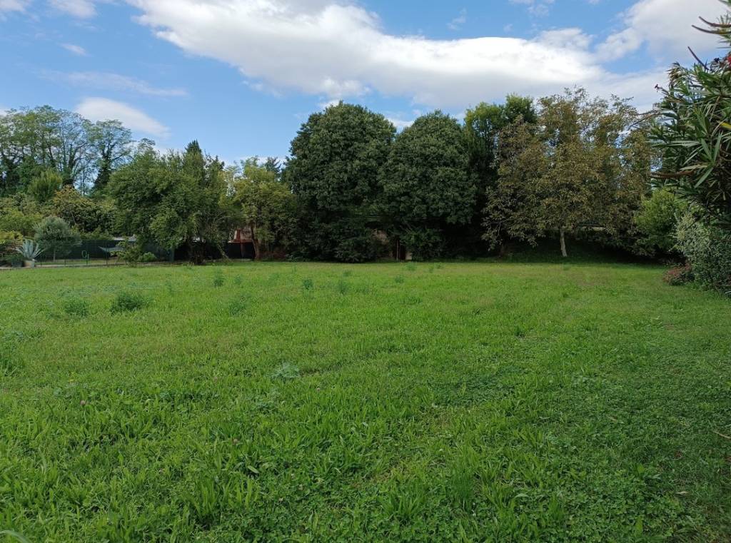 immagine annuncio 4 di 6