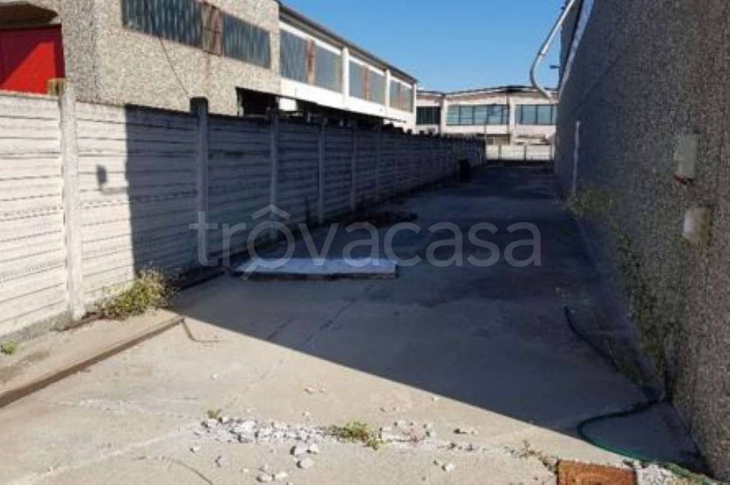 immagine annuncio 6 di 13