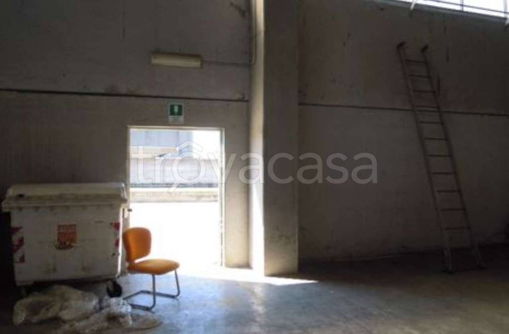 immagine annuncio 9 di 13