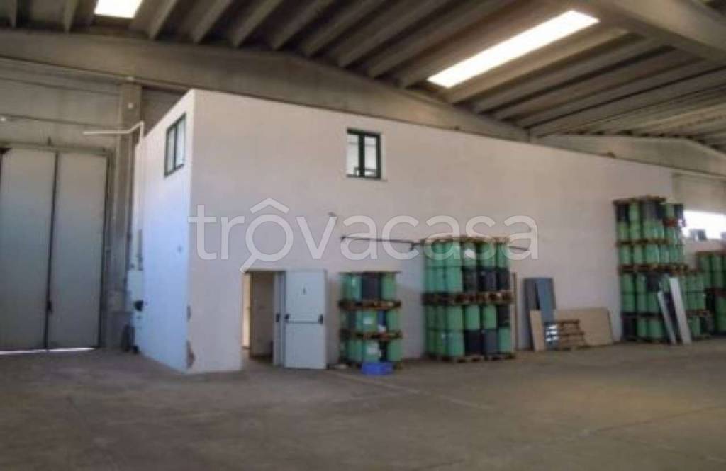 immagine annuncio 10 di 13