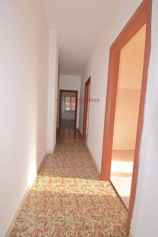 immagine annuncio 9 di 14