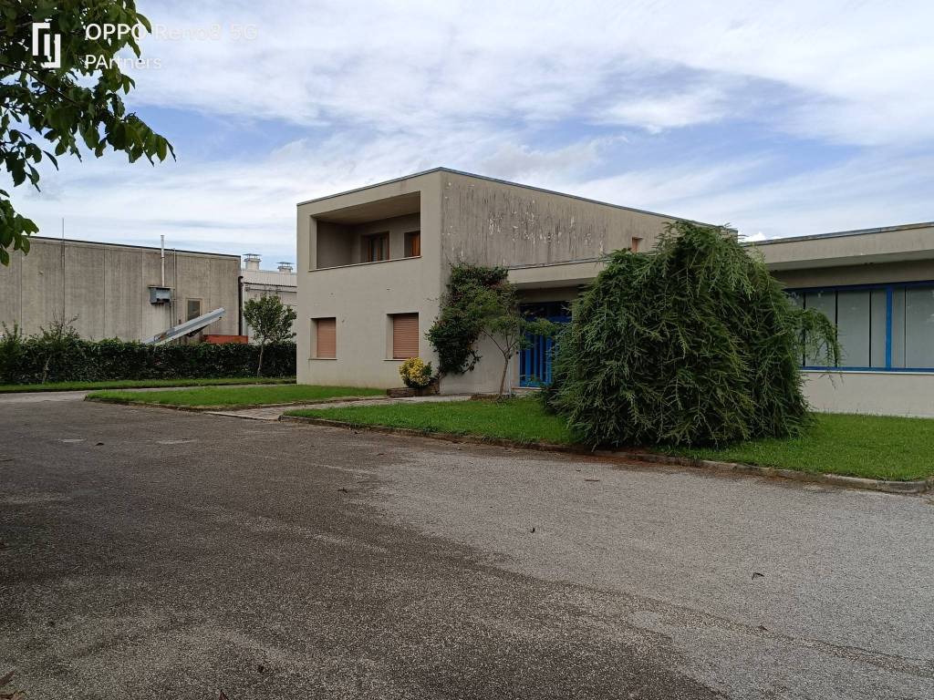 immagine annuncio 1 di 8