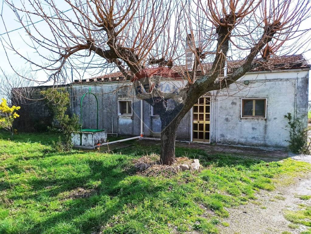 Casa Indipendente in vendita a Biccari contrada Berardinone, snc
