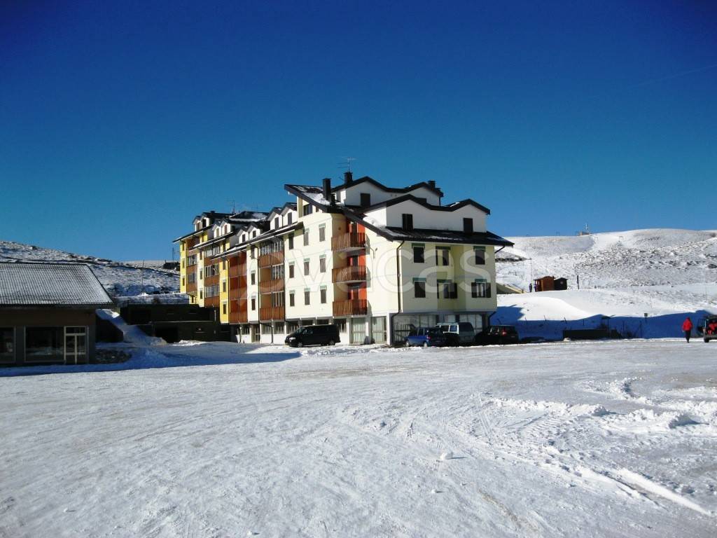 immagine annuncio 1 di 9