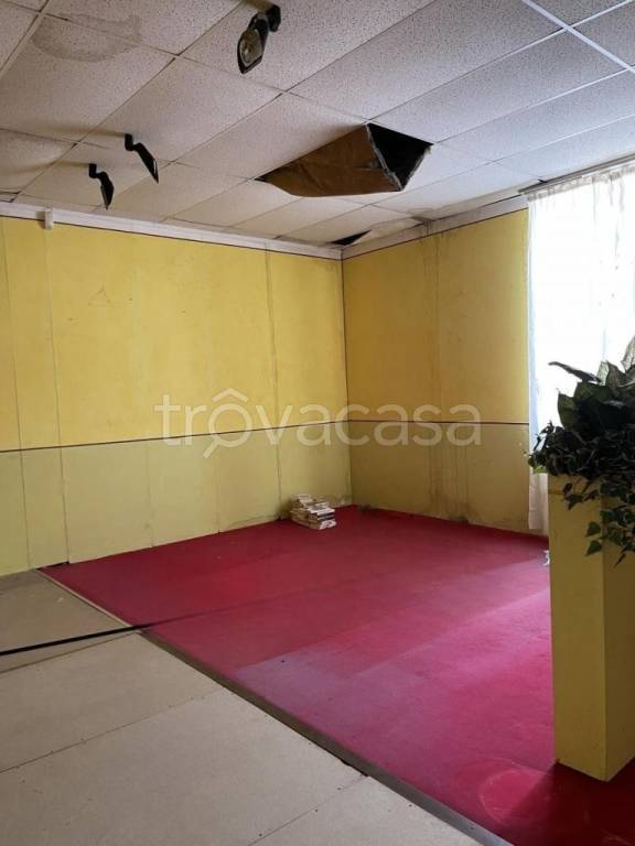 immagine annuncio 9 di 11