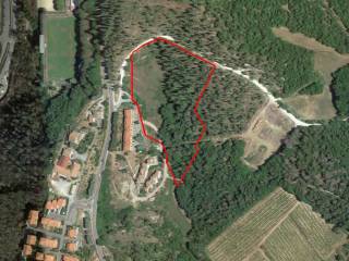 Terreno residenziale all'asta a castellina in chianti croce fiorentina