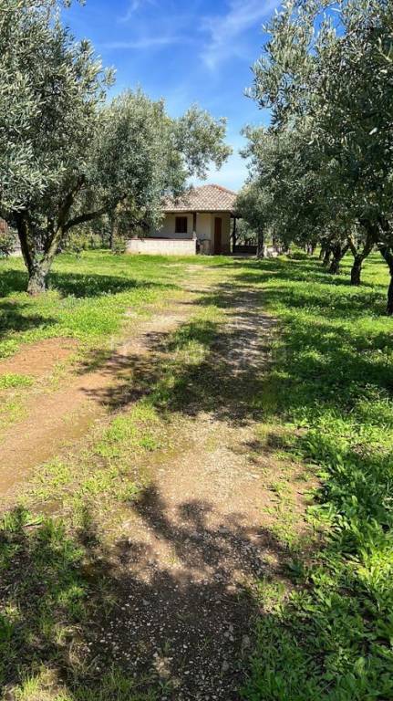 Terreno Agricolo in vendita a Lamezia Terme via Raoul Morelli, 133
