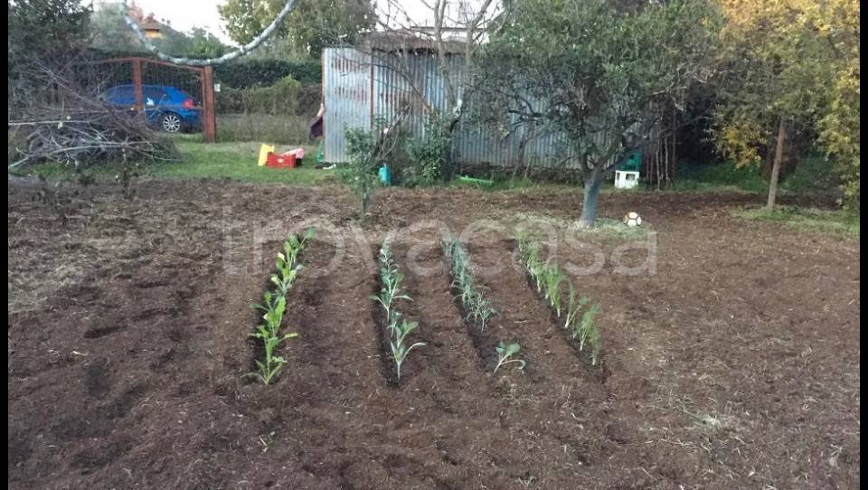 Terreno Agricolo in affitto a Roma via Momperone, 5