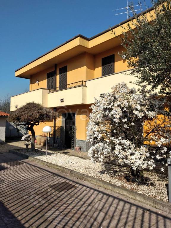 immagine annuncio 8 di 11