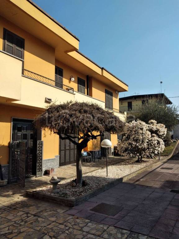 immagine annuncio 6 di 11