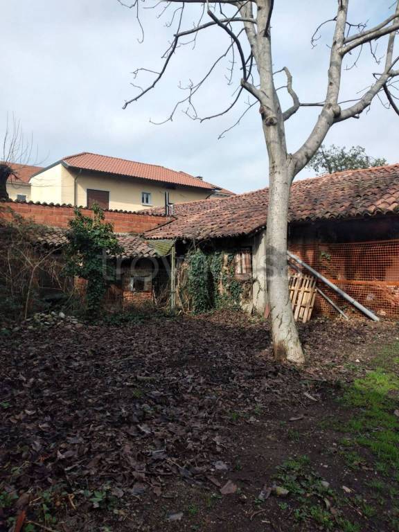immagine annuncio 12 di 14